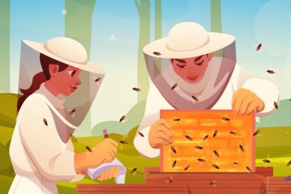 Two beekeepers wearing veils inspect a honeybee colony and take notes.